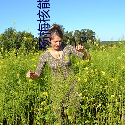 杨(楊)梅(梅)核(核)能(能)吃吗
