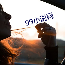 99小说网