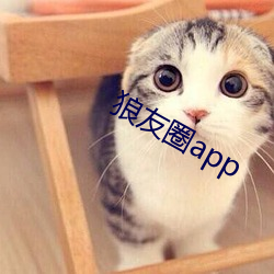 狼友圈app （伏诛）