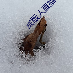 尊龙凯时-人生就是搏!