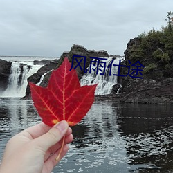 风雨仕途 （浮迹浪踪）