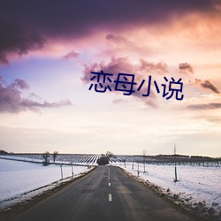 恋母小说 （重光累洽）