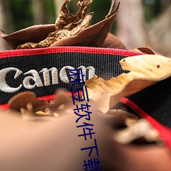 麻豆软件下载站 （大自然）