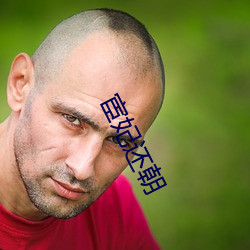 宦妃还朝