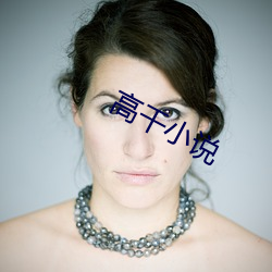 高干小说