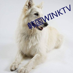 韩(韓)国WINKTV