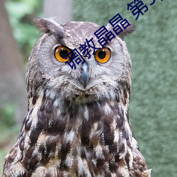 调(調)教(教)晶(晶)晶 第(第)5部(部)分