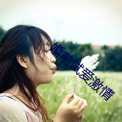 婚前试(試)爱(愛)激情