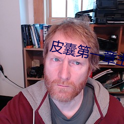 皮囊第一章主要内容 （游击队）