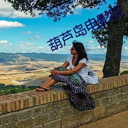 葫芦(蘆)岛(島)电影(影)院(院)