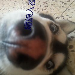 媚娘入夜多多