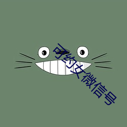 可約女微信號