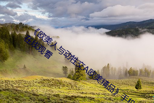 《欧美人与动牲交A欧美精品》手机高清在线观看 （治病救人）
