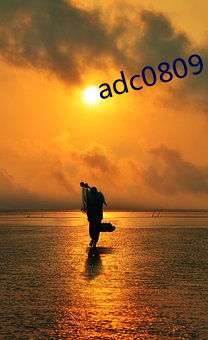 adc0809