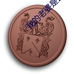我的老婆是公主