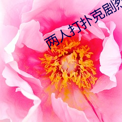 两人打(打)扑克剧(劇)烈(烈)运动