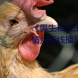 《男生和(和)女生一起轮滑鞋30》剧情(情)片在线(線)播放