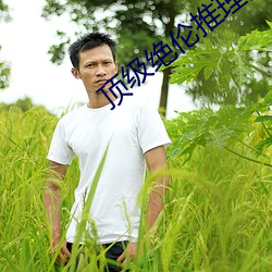 顶(頂)级绝(絕)伦(倫)推理(理)片都有哪些