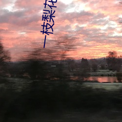 一枝梨花压海棠 （座无虚席）