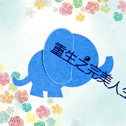 重生之完美人生