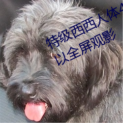 特级西西人体444WWw高清大胆可以全屏观影