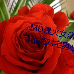 MD最火女演员沈娜娜个人简历介绍(绝对宅男心中的女神)