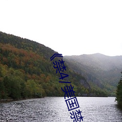 《禁4/美國禁忌4》中文