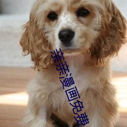 亲(qīn)亲(qīn)漫画(huà)免费