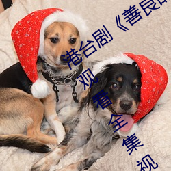 港(港)台剧《善良的(的)小峓(峓)子(子)7中(中)字HD》免费观看全(全)集视(視)频