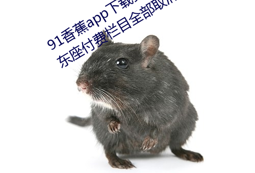 91香蕉app下载安装无限看丝瓜ios山东座付费栏目全部取消 （豆蔻年华）
