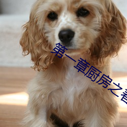 第一章厨(廚)房(房)之(之)春全文阅读(讀)