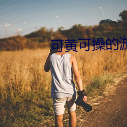 可黄(huáng)可操的(de)游戏