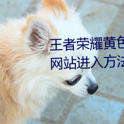 王者(zhě)荣耀黄色网站怎么进入 黄色网站进入(rù)方(fāng)法介绍