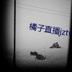 橘子直(zhí)播(bō)jztv开炮