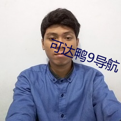 可达鸭9导航