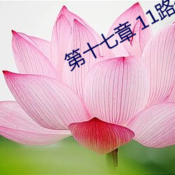 第十七章 11路公交车(高潮将起!!!)