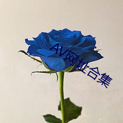 AV网址合集 （流域）