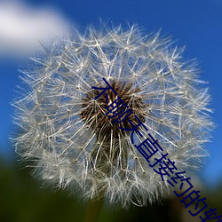 不聊(liáo)天(tiān)直(zhí)接约的软件