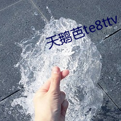 天鵝芭te8ttv