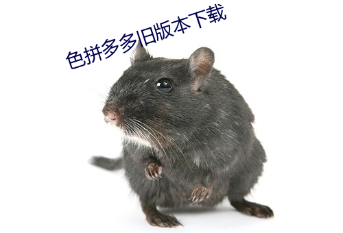 色拼多多舊版本下載