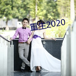 重生2020