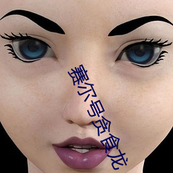 赛尔号贪食龙 （风俗人情）
