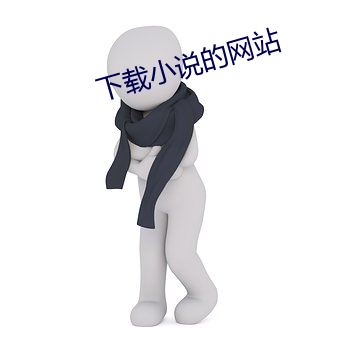 下载小说的网站