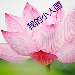 金年会 | 诚信至上金字招牌