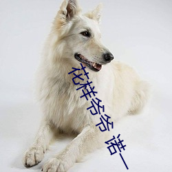 花样爷(爺)爷(爺) 诺一