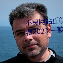 不良网站正能量软件窗口下载免费2023:一款不断更新更多优