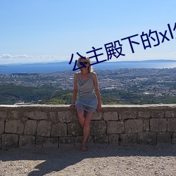 公(gōng)主殿下的xl生活