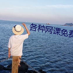 各種網課免費資源分享論壇