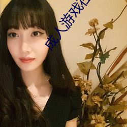 成人游戏在线玩