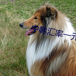 中韩汇率一(yī)元人民币